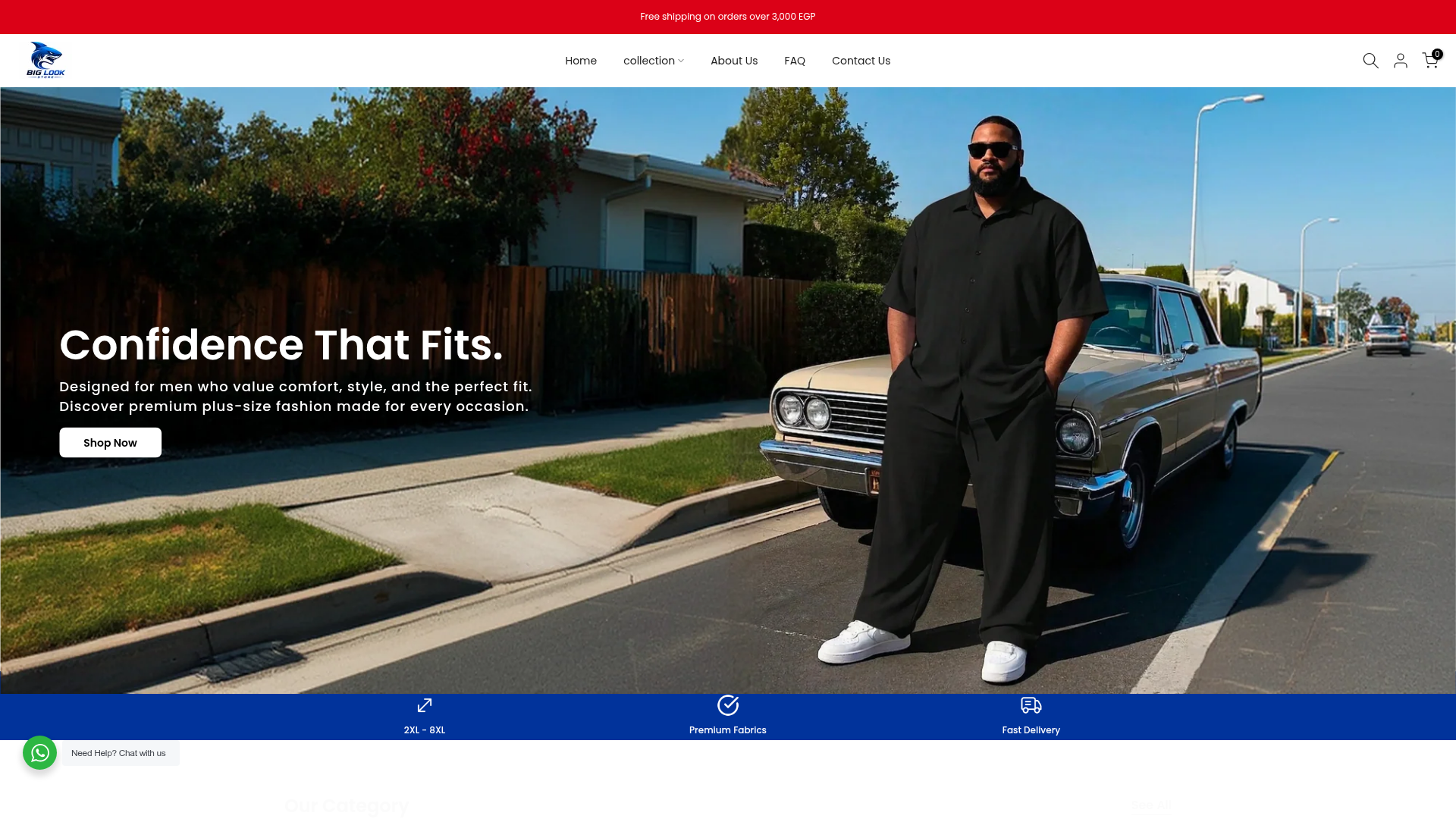 Big Look website preview